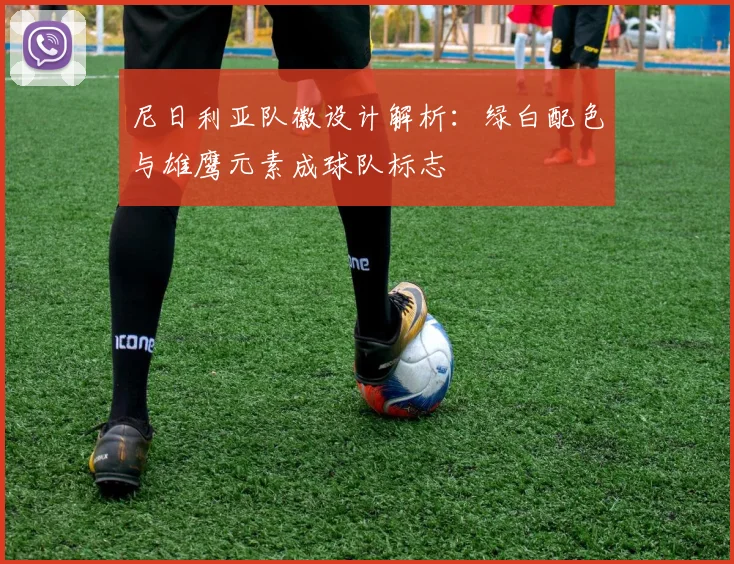 尼日利亚队徽设计解析：绿白配色与雄鹰元素成球队标志