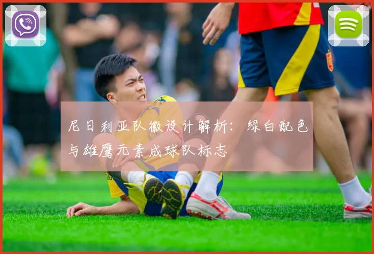 尼日利亚队徽设计解析：绿白配色与雄鹰元素成球队标志